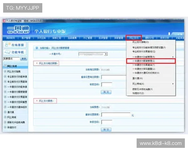 凯发体育注册账号查询系统最新功能介绍及常见问题解决方案全面解析